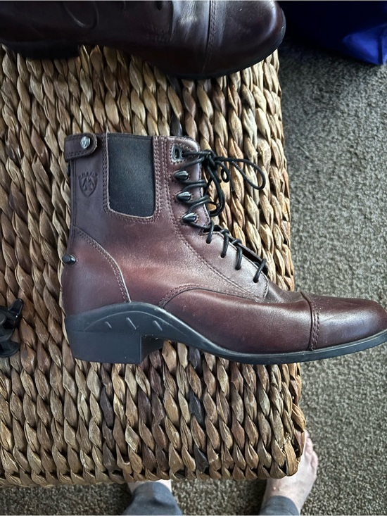 Ariat Shoes - Ariat Women's Dark Brown Leather Lace-Up paddock Boots